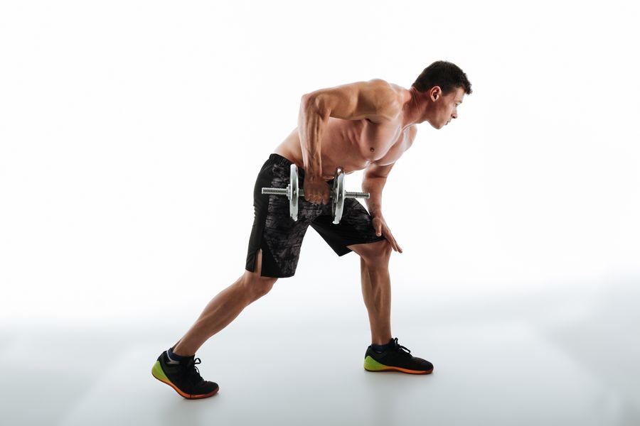 entender su estructura entender su estructura